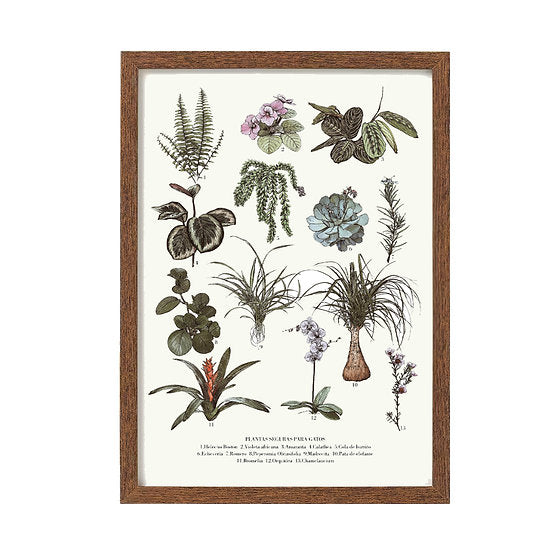 Print SAFE PLANTS