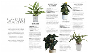 Plantas de interior