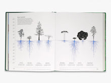 Cargar imagen en el visor de la galería, Trees: From Root to Leaf