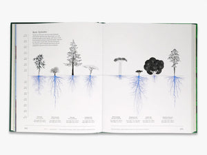 Trees: From Root to Leaf
