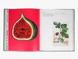 Trees: From Root to Leaf