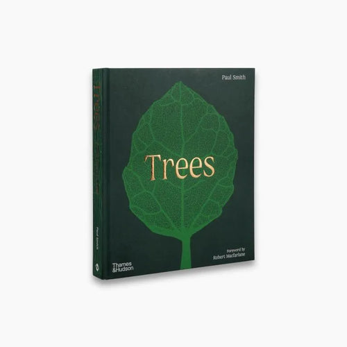 Trees: From Root to Leaf