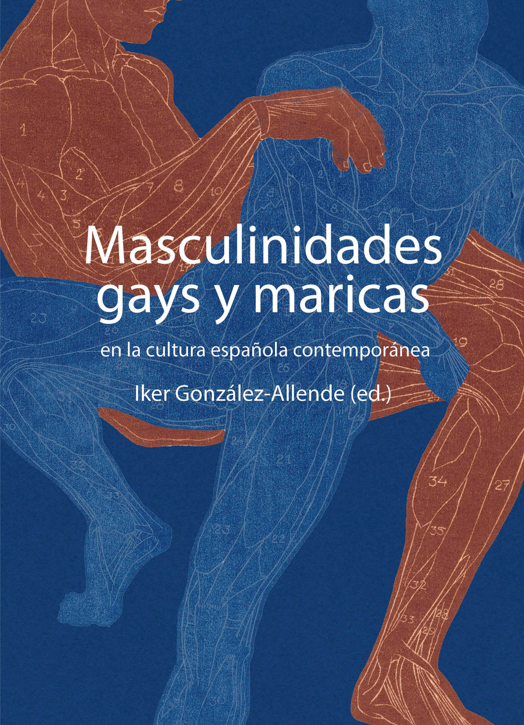 Masculinidades gays y maricas