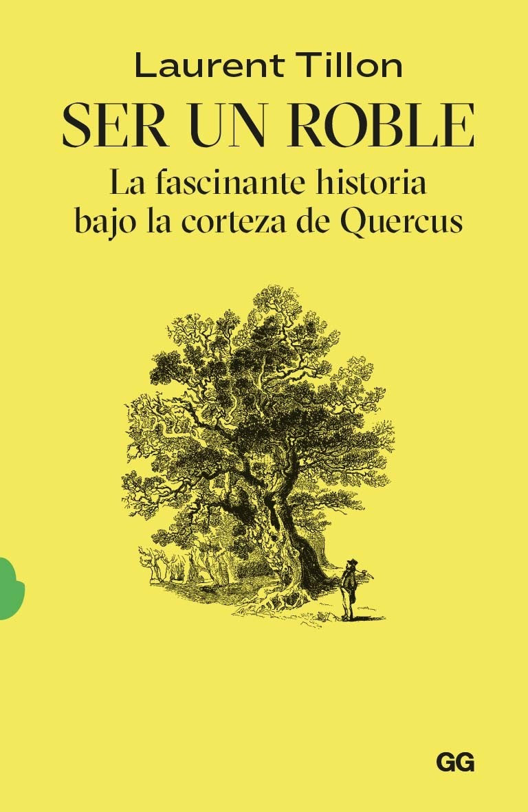 Ser un roble La fascinante historia bajo la corteza de Quercus