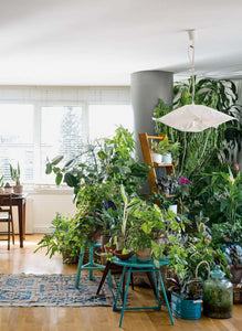 Urban Jungle: Living and Styling with Plants