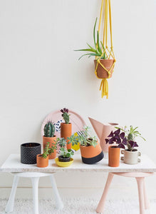 Urban Jungle: Living and Styling with Plants