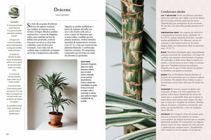 PLANTAS DE INTERIOR