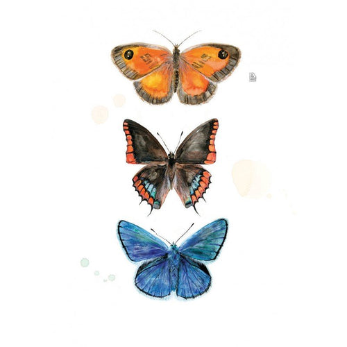 3 mariposas